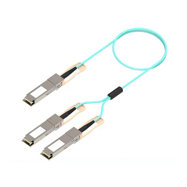 What is the name of the fiber optic cable interface