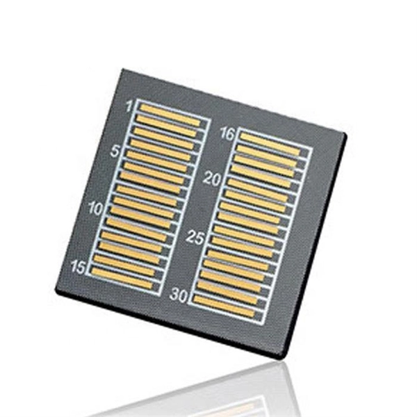 Dual-core dual-mode fiber optic panel