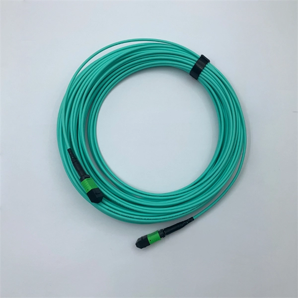 The Role of the Corridor Access Switch