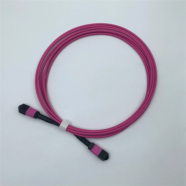 Portable Case for Online Monitoring of Fiber Optic Cables