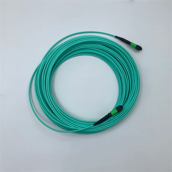 Fiber Optic Power Cord Adapter