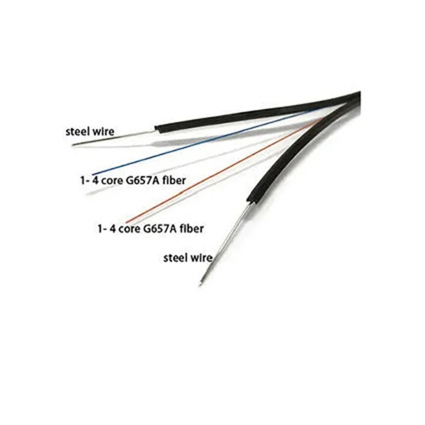 Guinea s Large Cable Tray Enterprises