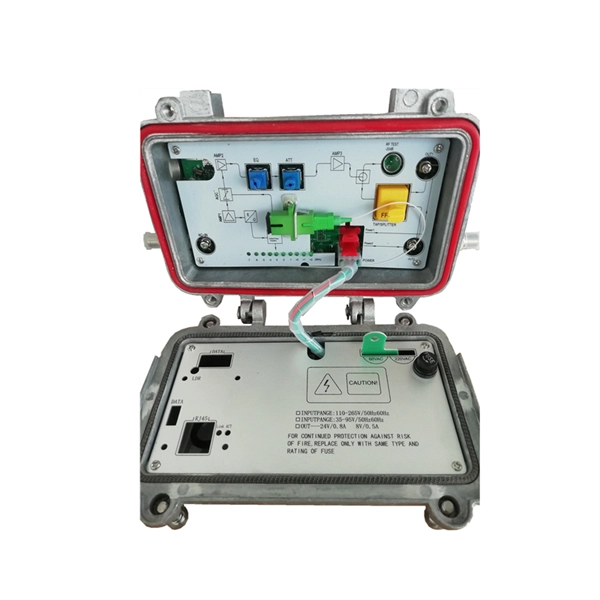 Gigabit optical module with 10 Gigabit ports